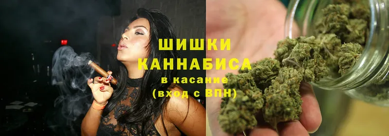 Бошки марихуана Amnesia  kraken   Калач  купить  